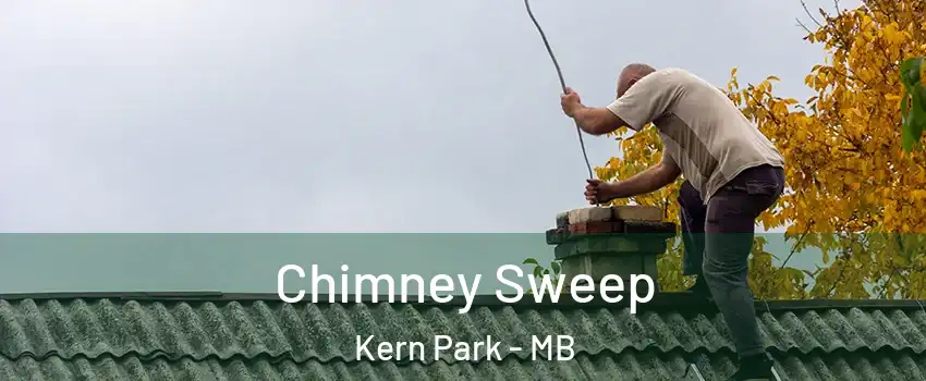  Chimney Sweep Kern Park - MB