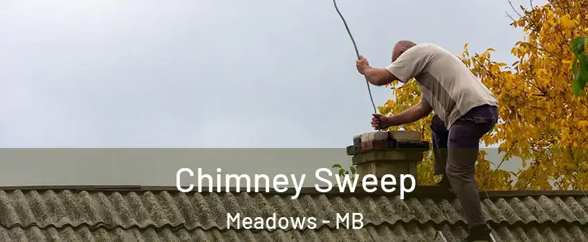  Chimney Sweep Meadows - MB
