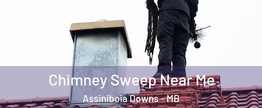  Chimney Sweep Near Me Assiniboia Downs - MB