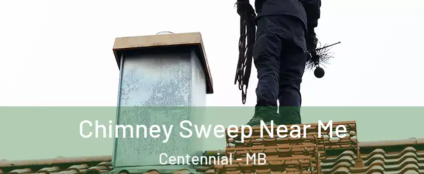  Chimney Sweep Near Me Centennial - MB