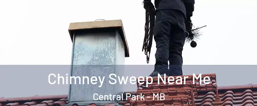  Chimney Sweep Near Me Central Park - MB