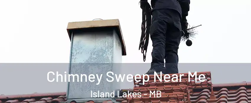  Chimney Sweep Near Me Island Lakes - MB