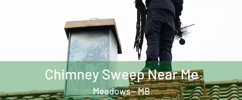  Chimney Sweep Near Me Meadows - MB