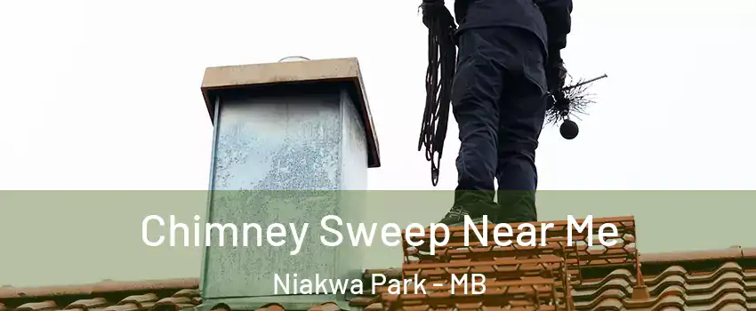  Chimney Sweep Near Me Niakwa Park - MB