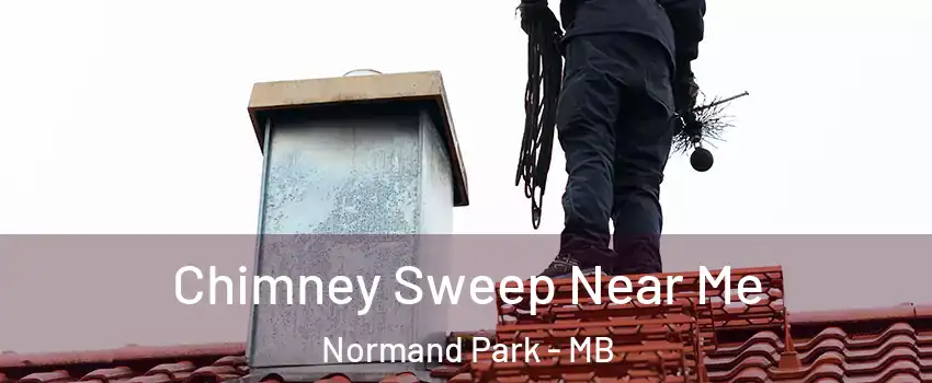  Chimney Sweep Near Me Normand Park - MB