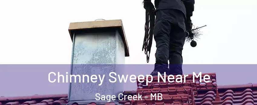  Chimney Sweep Near Me Sage Creek - MB