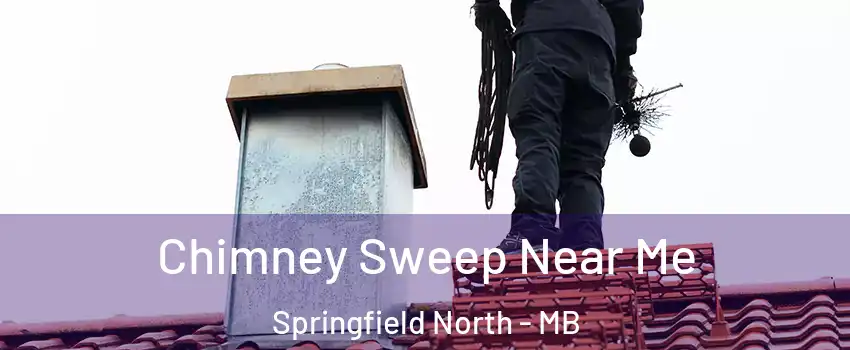  Chimney Sweep Near Me Springfield North - MB