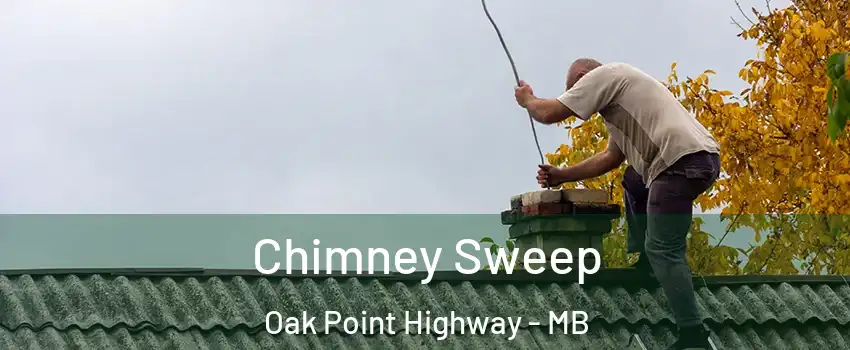  Chimney Sweep Oak Point Highway - MB