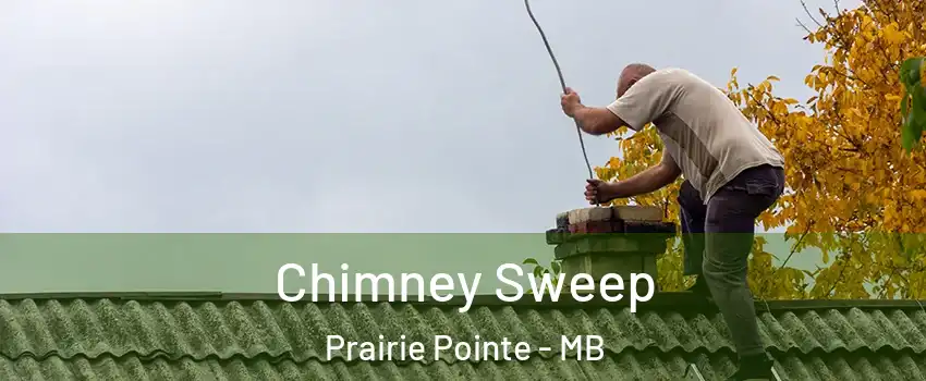  Chimney Sweep Prairie Pointe - MB