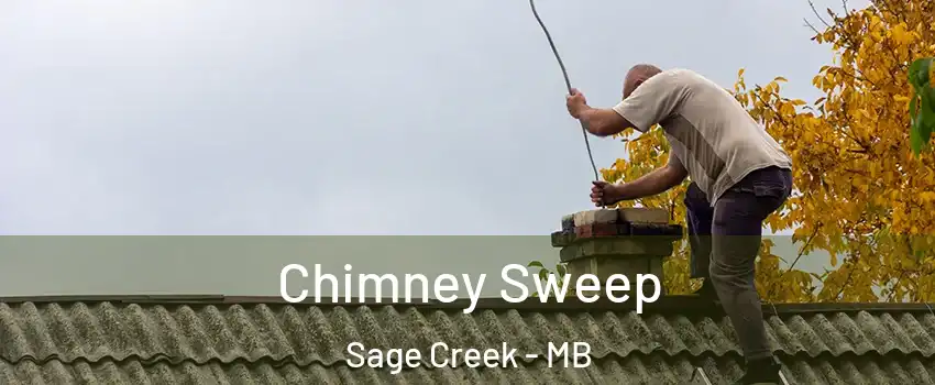  Chimney Sweep Sage Creek - MB