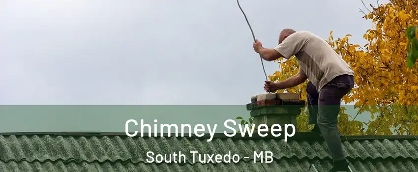  Chimney Sweep South Tuxedo - MB