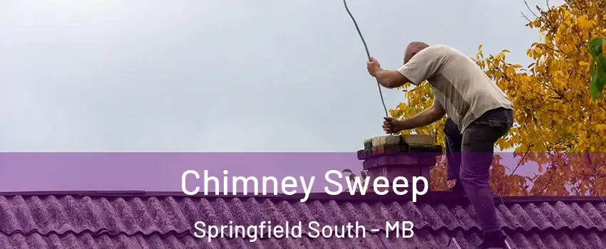  Chimney Sweep Springfield South - MB