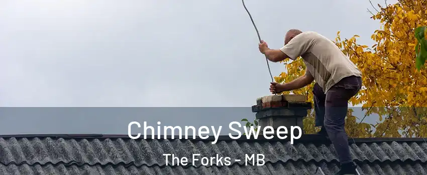  Chimney Sweep The Forks - MB