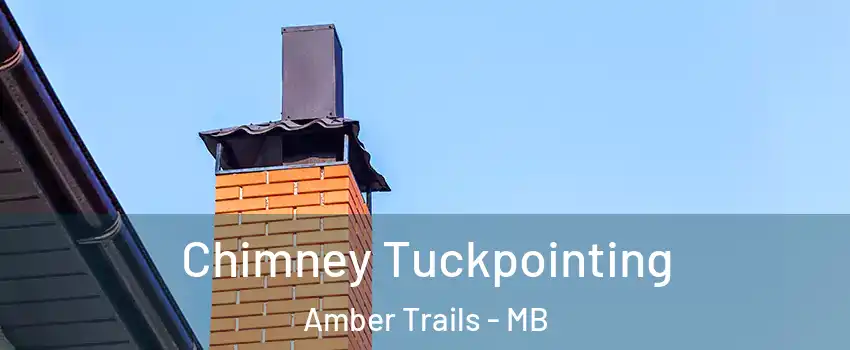  Chimney Tuckpointing Amber Trails - MB