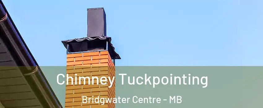  Chimney Tuckpointing Bridgwater Centre - MB