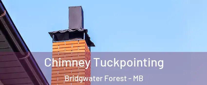  Chimney Tuckpointing Bridgwater Forest - MB