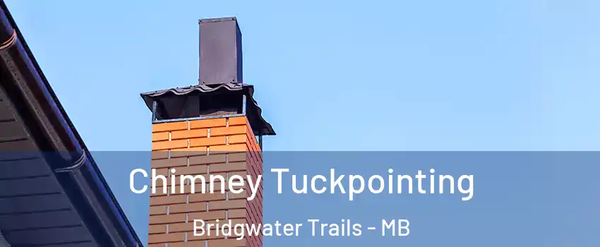  Chimney Tuckpointing Bridgwater Trails - MB