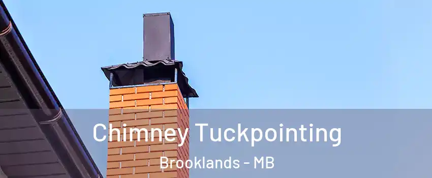  Chimney Tuckpointing Brooklands - MB