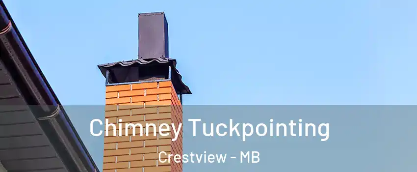  Chimney Tuckpointing Crestview - MB