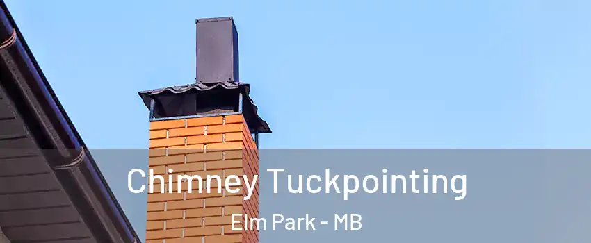 Chimney Tuckpointing Elm Park - MB