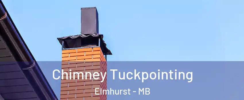  Chimney Tuckpointing Elmhurst - MB