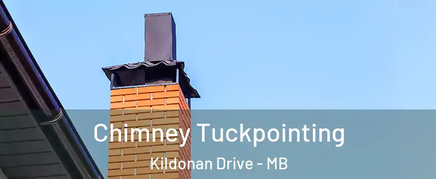  Chimney Tuckpointing Kildonan Drive - MB