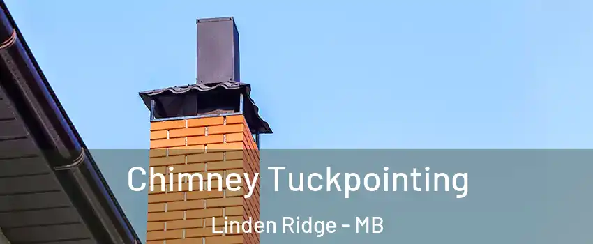  Chimney Tuckpointing Linden Ridge - MB