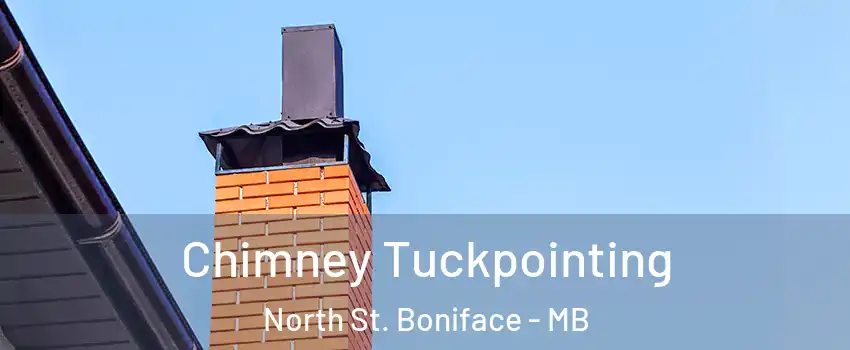  Chimney Tuckpointing North St. Boniface - MB
