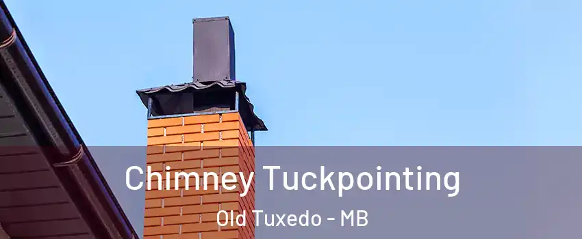 Chimney Tuckpointing Old Tuxedo - MB