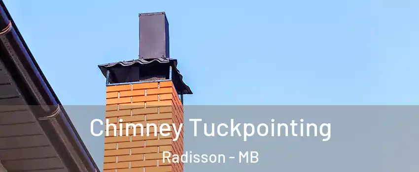  Chimney Tuckpointing Radisson - MB