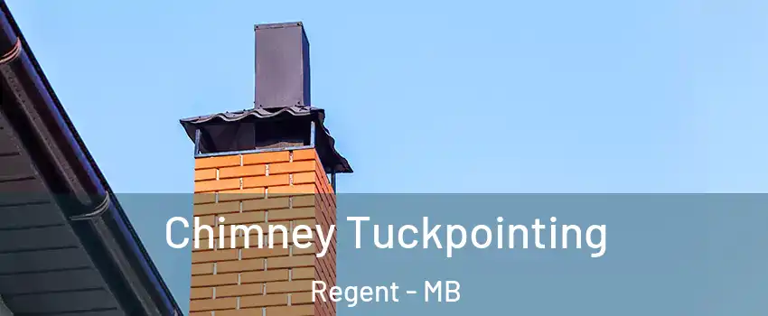  Chimney Tuckpointing Regent - MB