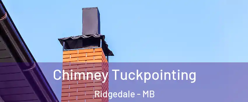  Chimney Tuckpointing Ridgedale - MB