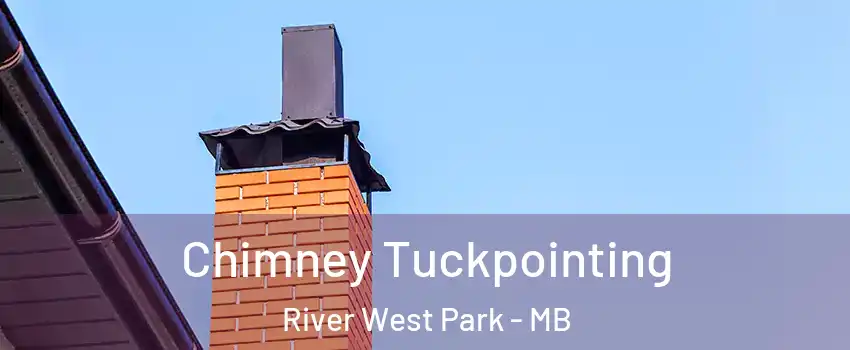  Chimney Tuckpointing River West Park - MB
