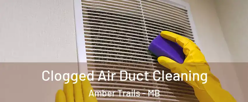  Clogged Air Duct Cleaning Amber Trails - MB