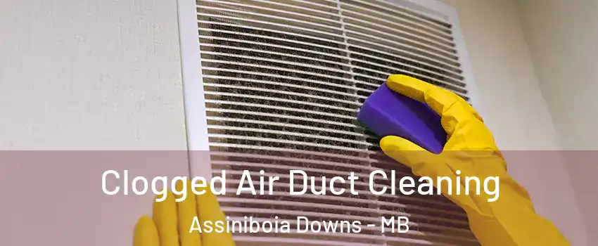  Clogged Air Duct Cleaning Assiniboia Downs - MB