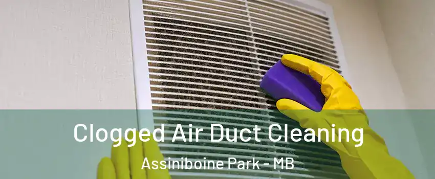  Clogged Air Duct Cleaning Assiniboine Park - MB