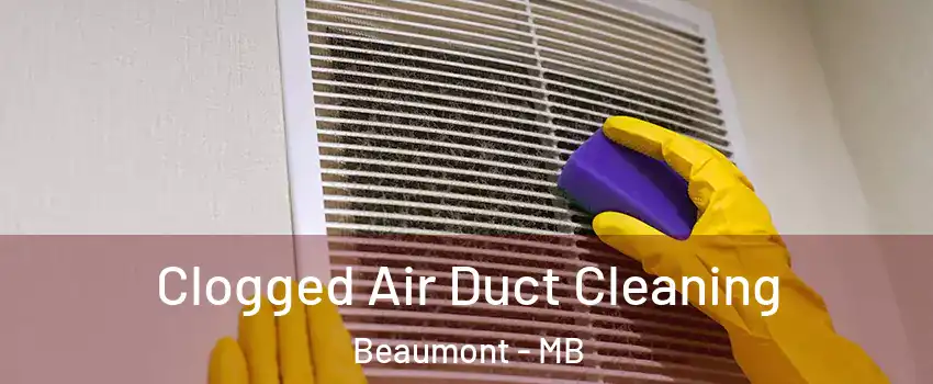  Clogged Air Duct Cleaning Beaumont - MB