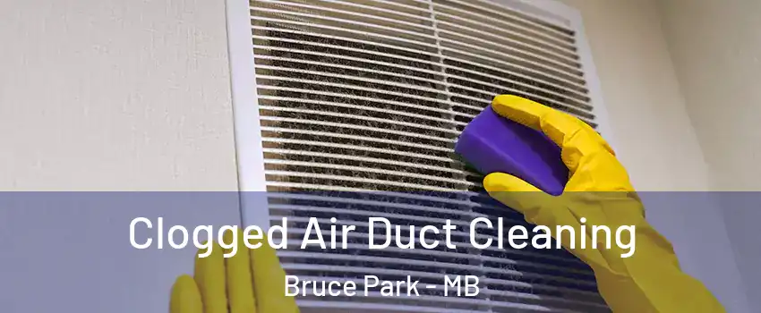  Clogged Air Duct Cleaning Bruce Park - MB