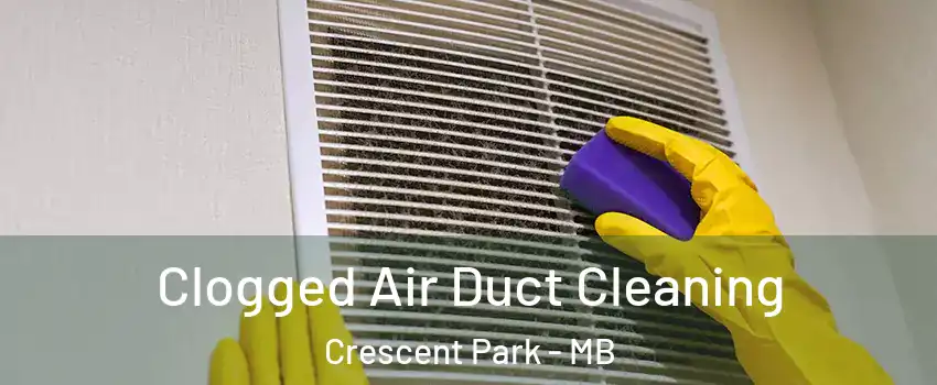  Clogged Air Duct Cleaning Crescent Park - MB