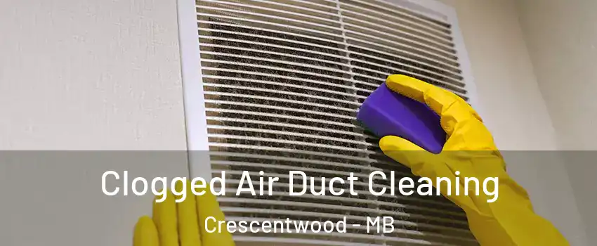  Clogged Air Duct Cleaning Crescentwood - MB