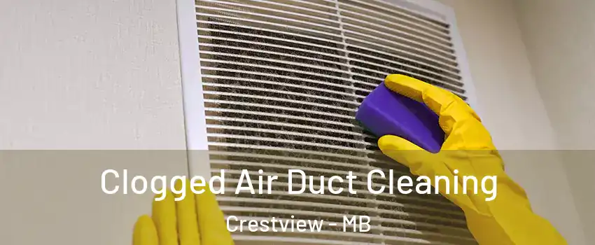  Clogged Air Duct Cleaning Crestview - MB