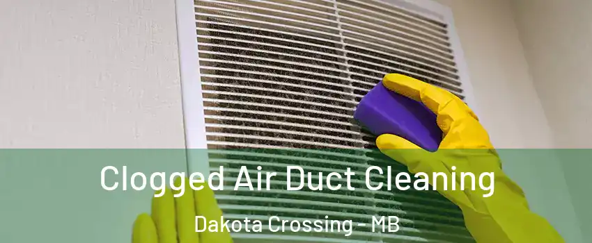  Clogged Air Duct Cleaning Dakota Crossing - MB