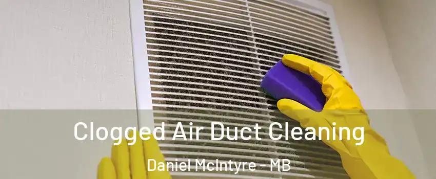  Clogged Air Duct Cleaning Daniel McIntyre - MB
