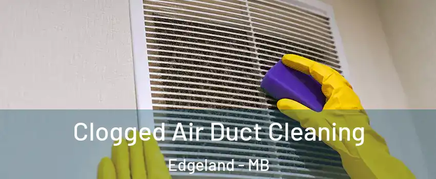  Clogged Air Duct Cleaning Edgeland - MB