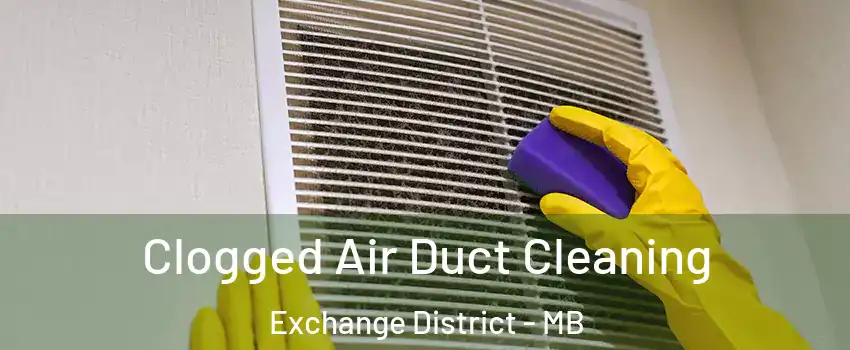  Clogged Air Duct Cleaning Exchange District - MB