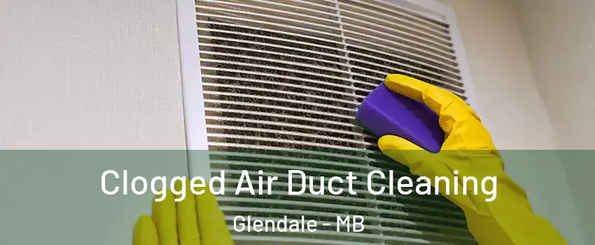  Clogged Air Duct Cleaning Glendale - MB