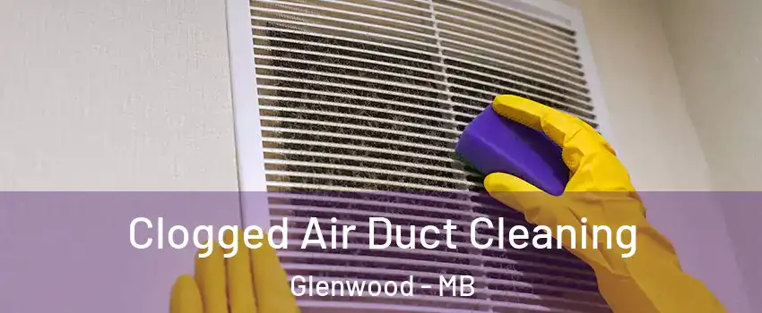  Clogged Air Duct Cleaning Glenwood - MB