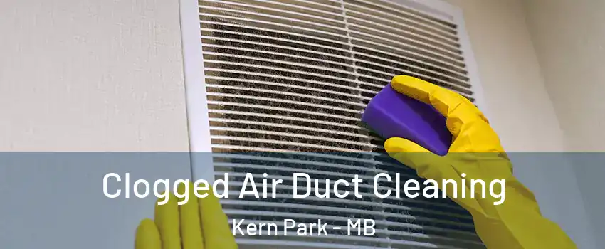  Clogged Air Duct Cleaning Kern Park - MB