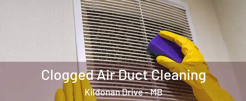  Clogged Air Duct Cleaning Kildonan Drive - MB