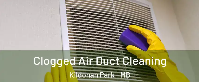  Clogged Air Duct Cleaning Kildonan Park - MB